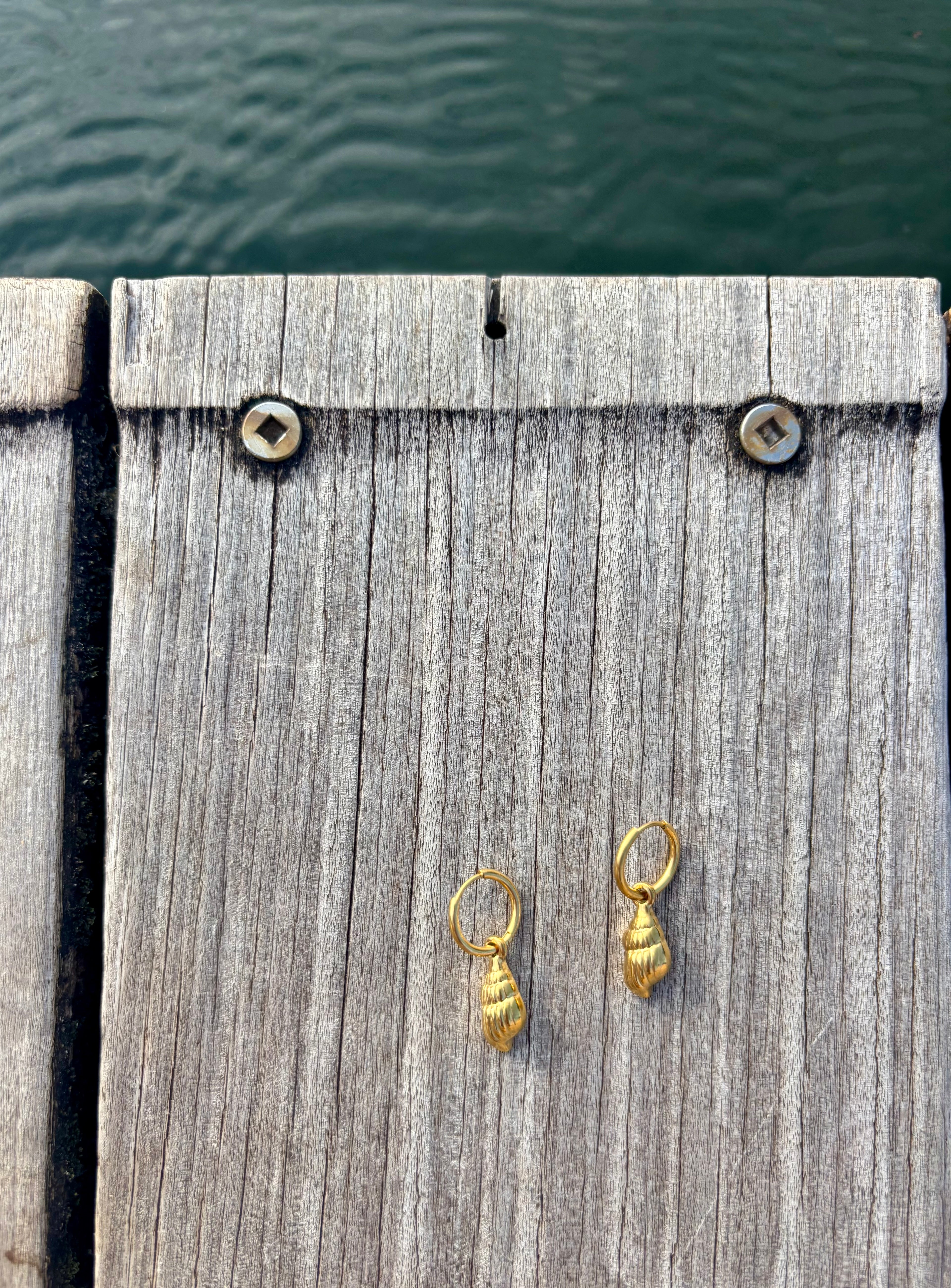conch shell earrings