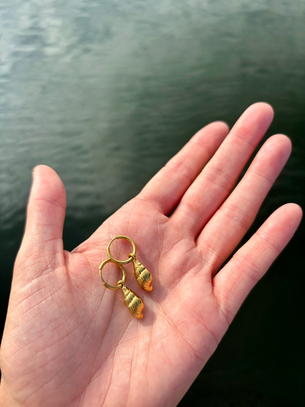conch shell earrings