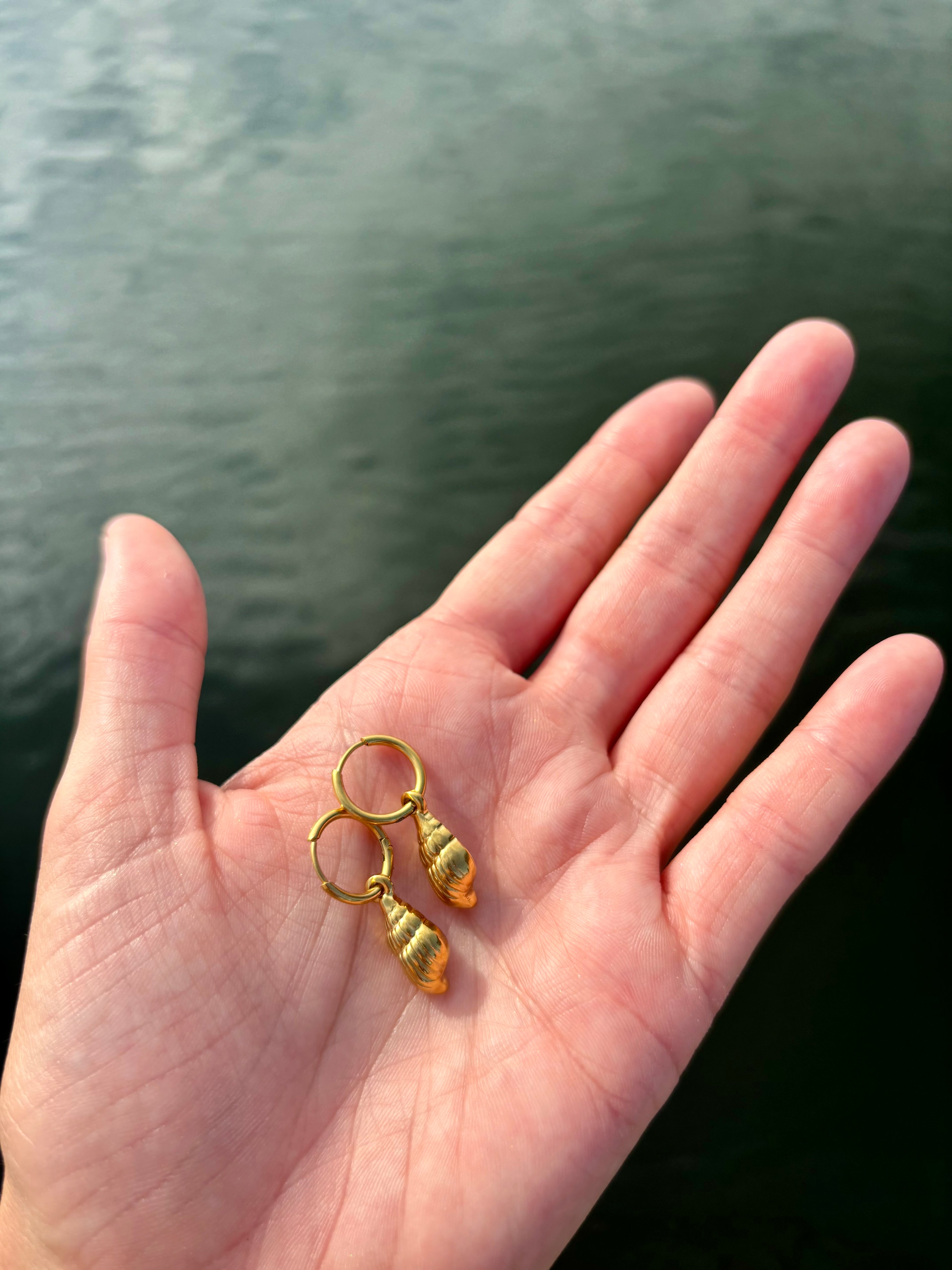 conch shell earrings